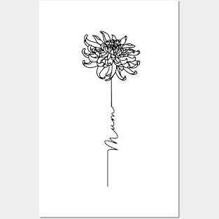 Mothers Day Chrysanthemum Flower - Mum - Commonwealth Spelling Posters and Art